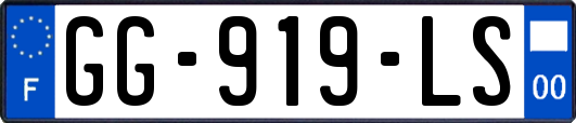 GG-919-LS