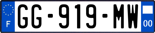 GG-919-MW