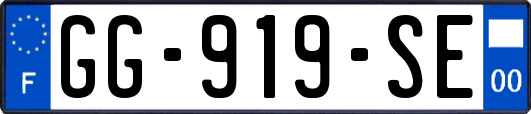 GG-919-SE