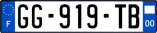 GG-919-TB