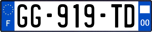 GG-919-TD