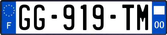 GG-919-TM