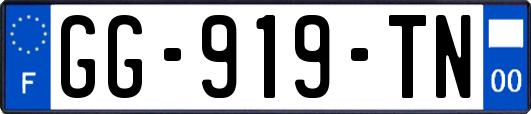 GG-919-TN