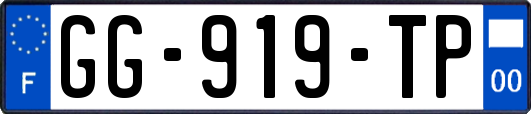 GG-919-TP