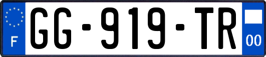 GG-919-TR