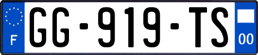 GG-919-TS