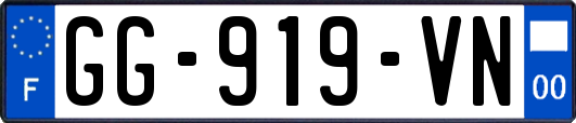 GG-919-VN