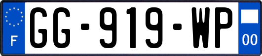 GG-919-WP