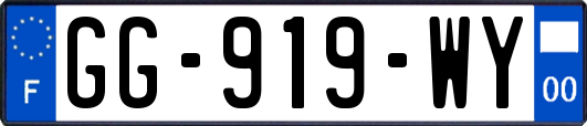 GG-919-WY
