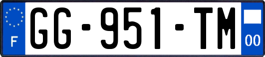 GG-951-TM