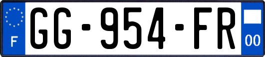GG-954-FR