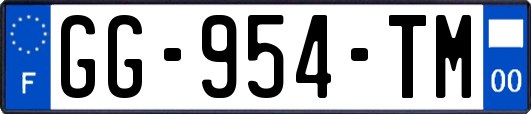 GG-954-TM