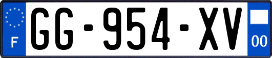 GG-954-XV