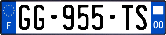 GG-955-TS