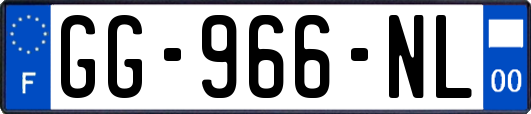 GG-966-NL