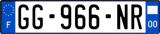 GG-966-NR