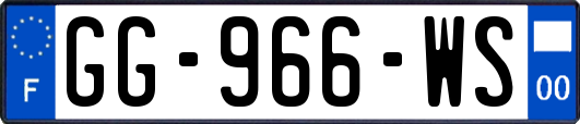 GG-966-WS