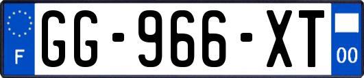 GG-966-XT