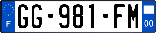 GG-981-FM