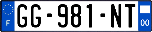 GG-981-NT