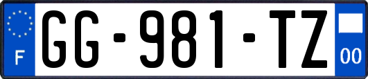 GG-981-TZ