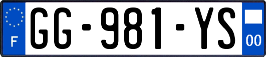 GG-981-YS