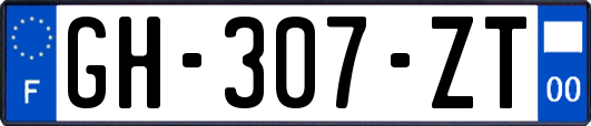 GH-307-ZT