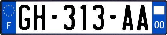 GH-313-AA