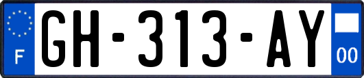 GH-313-AY