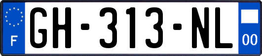 GH-313-NL
