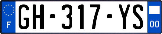 GH-317-YS