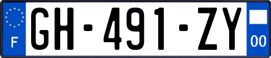 GH-491-ZY