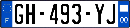 GH-493-YJ