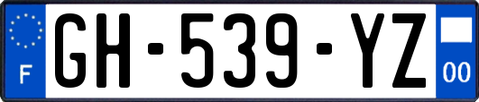 GH-539-YZ