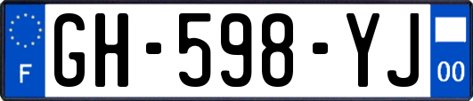 GH-598-YJ