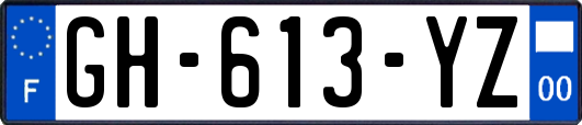 GH-613-YZ