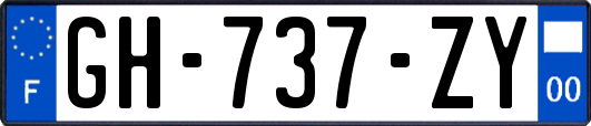 GH-737-ZY