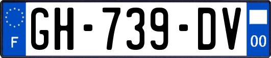 GH-739-DV