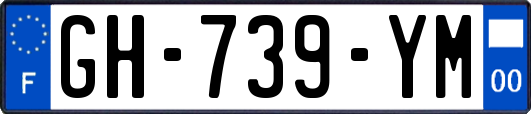 GH-739-YM