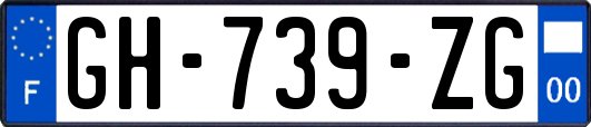 GH-739-ZG