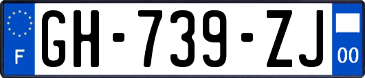 GH-739-ZJ