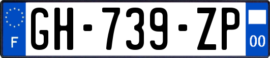 GH-739-ZP