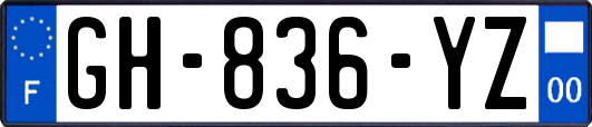 GH-836-YZ