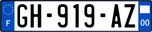 GH-919-AZ