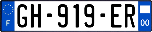 GH-919-ER