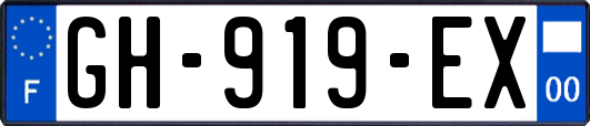 GH-919-EX