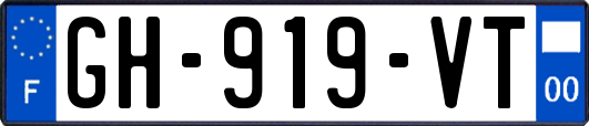 GH-919-VT