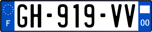 GH-919-VV