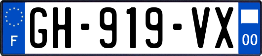 GH-919-VX