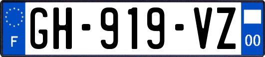 GH-919-VZ